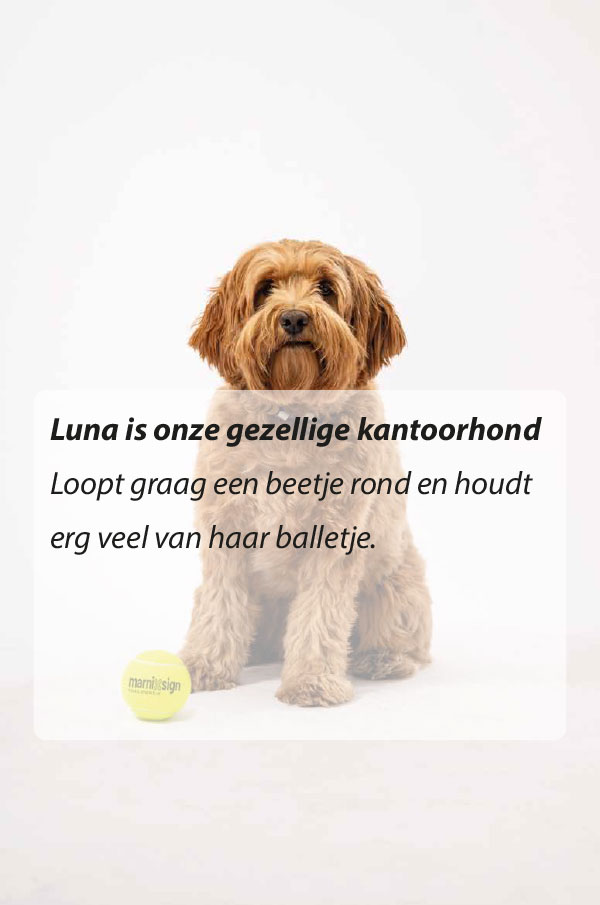 luna-hobby-v2